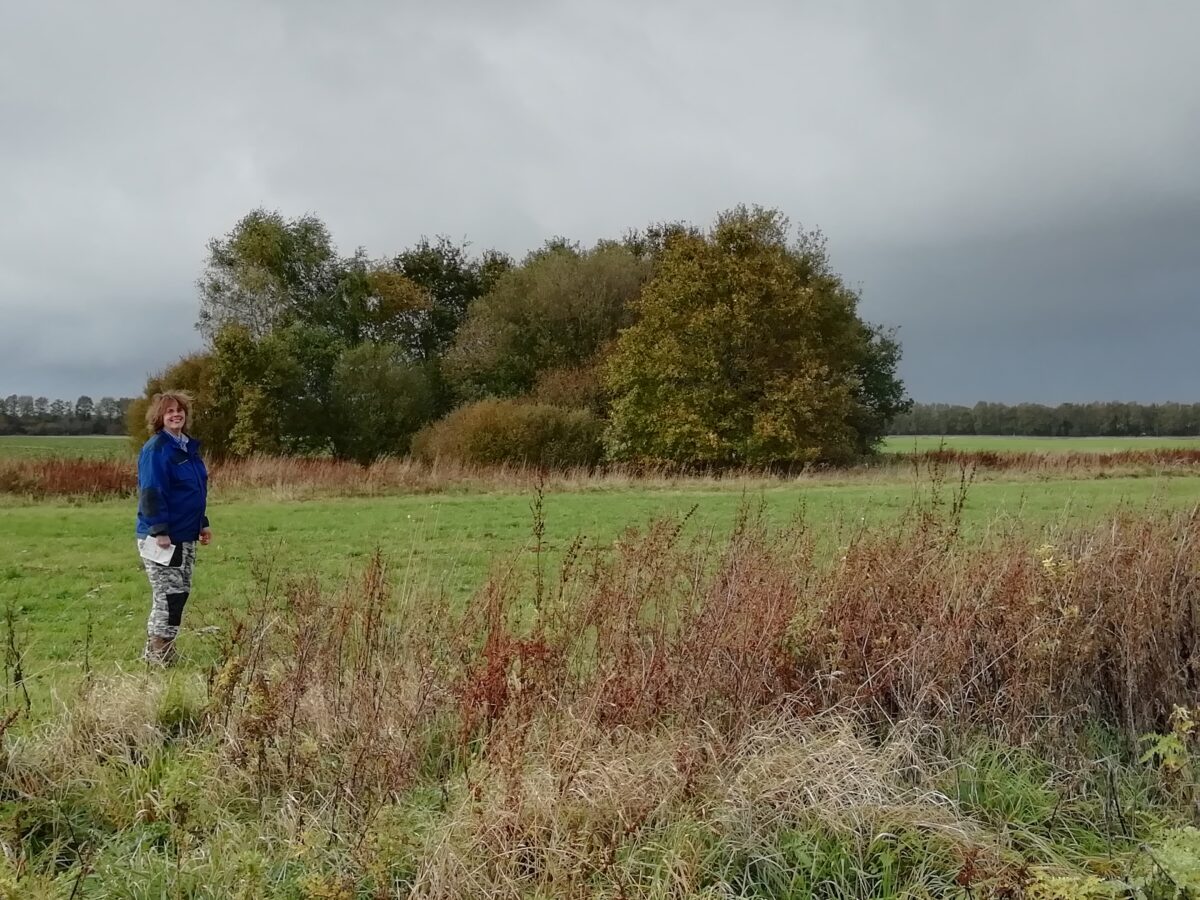 Biodynamische Geitenboerderij Hansketien