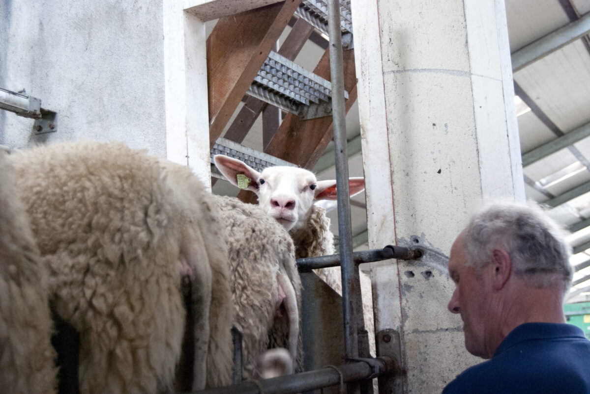 Boerderij Dikhoeve