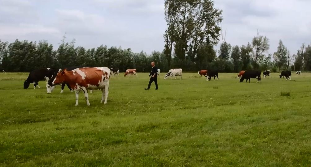 Biologische Melkveehouderij