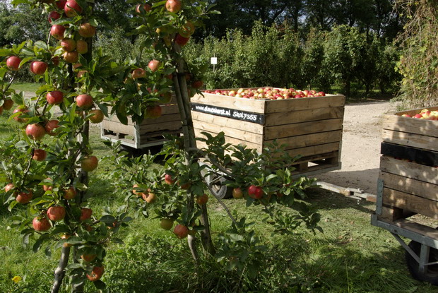 Landgoed de Olmenhorst