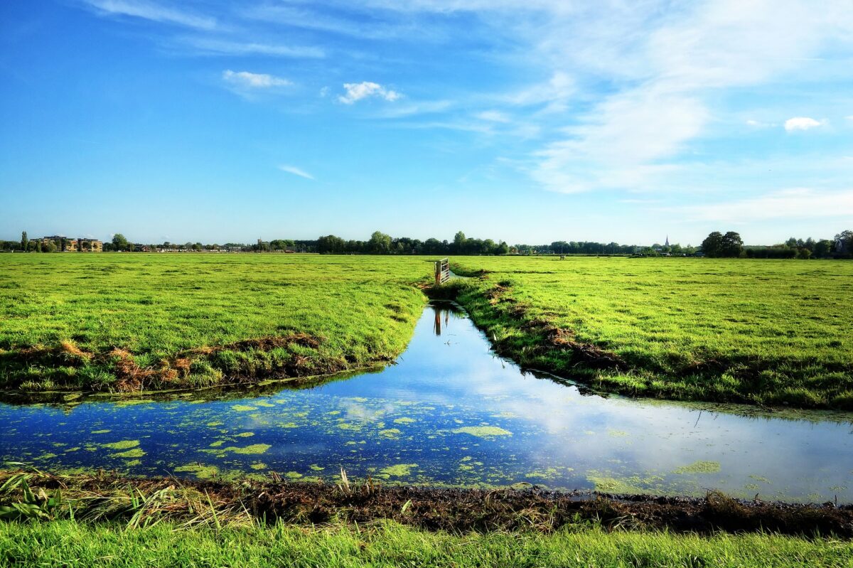 Overbreedte sloot benutten voor biodiversiteit