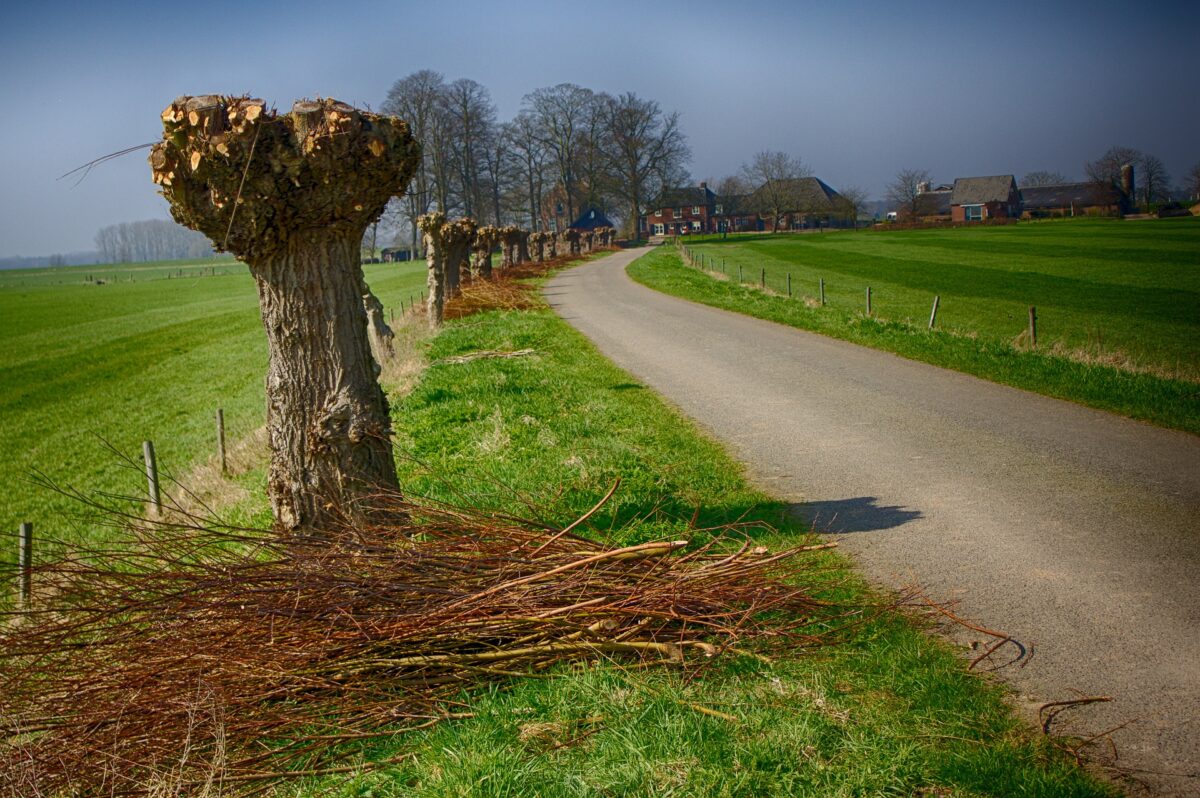 Landschapselementen