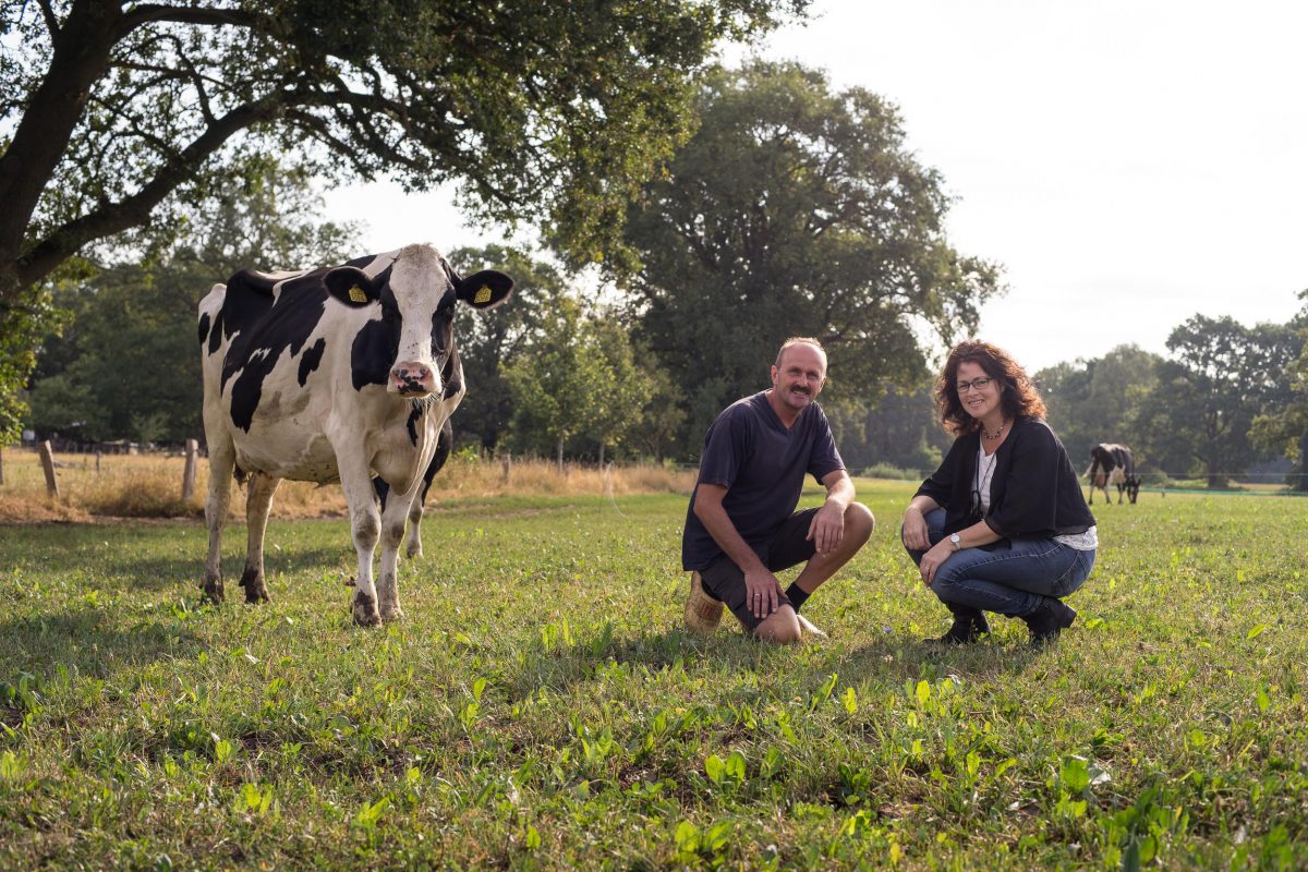 Biologisch melkveebedrijf en ijsboerderij de Meulenhorst