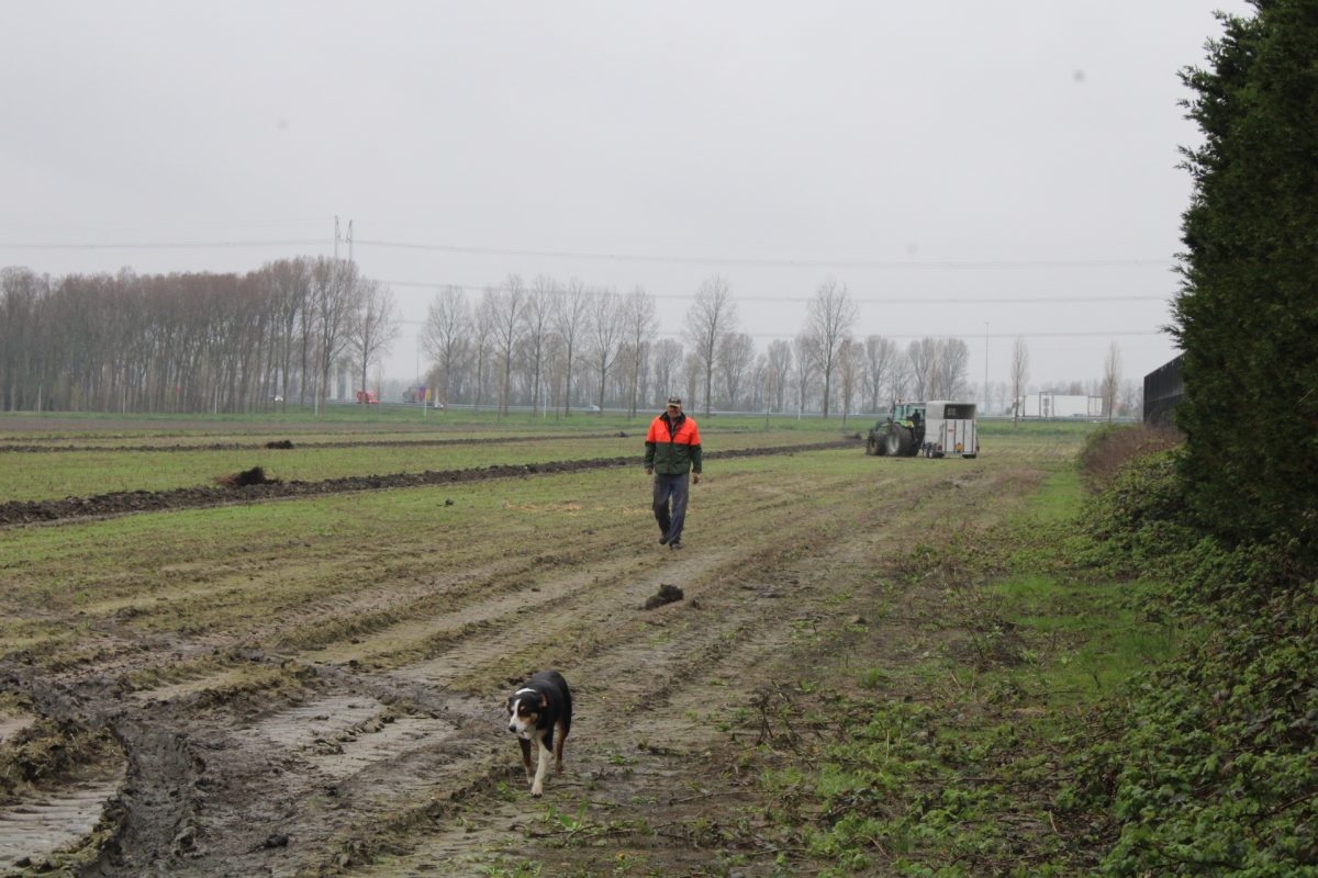 Strokenboerderij